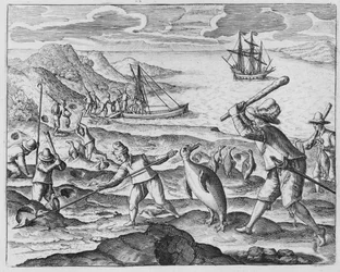 Chasse au pingouin, 1598